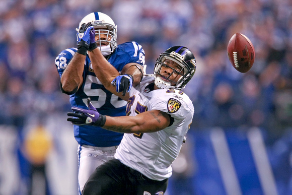 NFL: JAN 16 AFC Divisional Playoff - Ravens at Colts